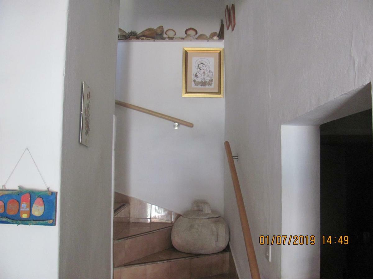 Apartman Kristina Daire Žuljana Dış mekan fotoğraf